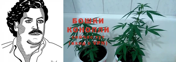 Альфа ПВП Инта