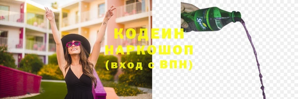Альфа ПВП Инта