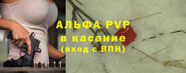 Альфа ПВП Инта