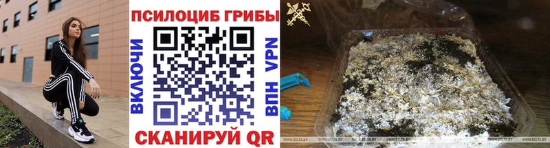 Купить закладки  Иланский  Псилоцибиновые грибы прущие грибы 