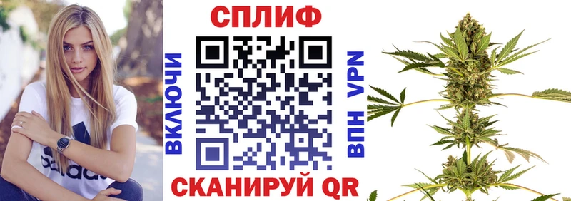 Купить  Иланский  Каннабис MAZAR 